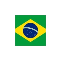 ブラジル Icon
